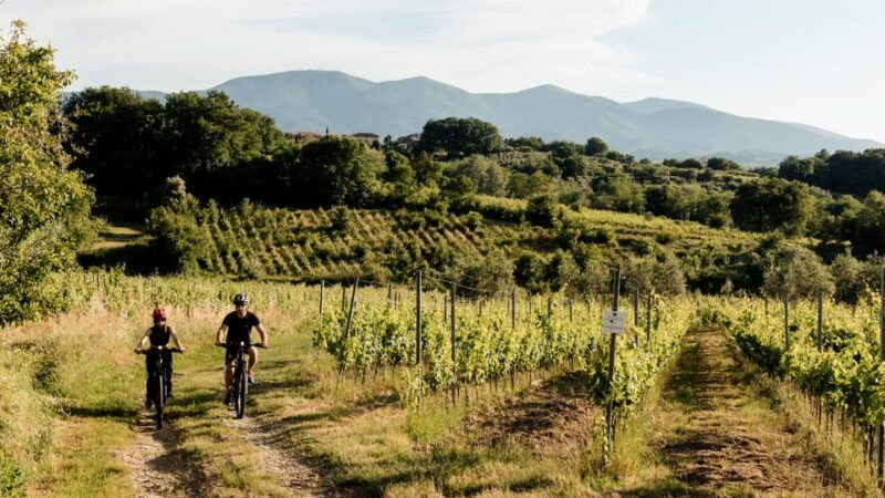 lucca-ebike-tour-with-lunch-and-wine-tasting