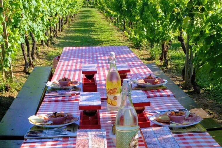 lucca-guided-e-bike-and-wine-tour