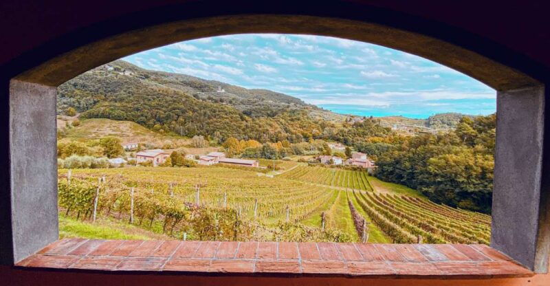 lucca-guided-winery-tour-with-wine-tasting