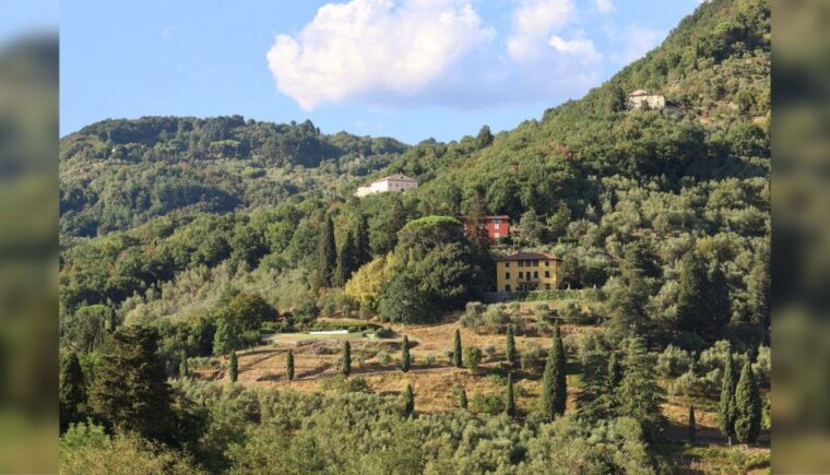 lucca-guided-winery-tour-with-wine-tasting