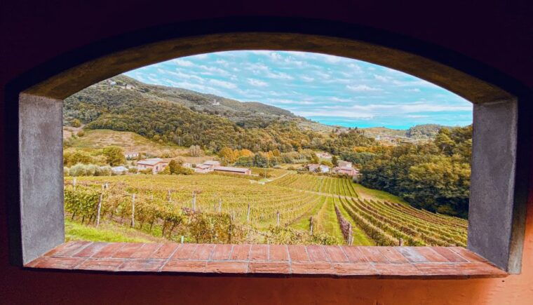 lucca-guided-winery-tour-with-wine-tasting