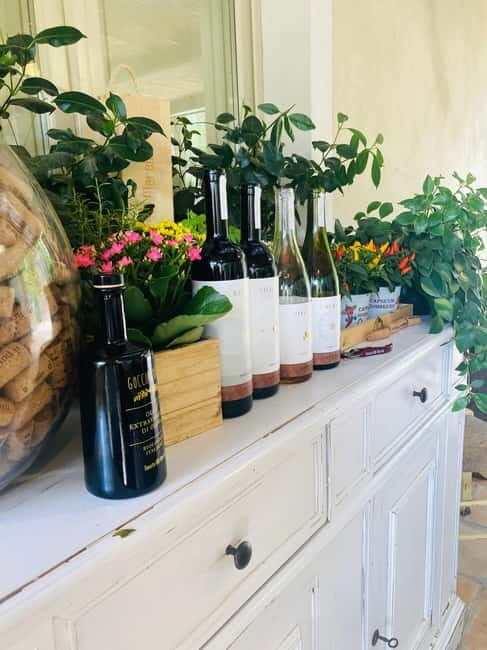 Lucca - Natural wine tasting at Tenuta Mareli - Key Points