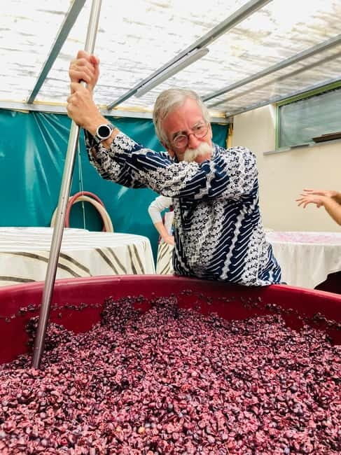 Lucca - Natural wine tasting at Tenuta Mareli - An In-Depth Look at the Experience