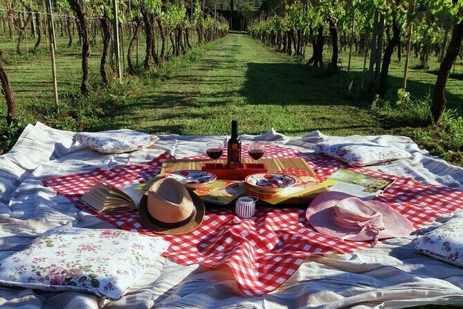 Lucca: self-guided bike tour + picnic in the vineyards - Key Points  