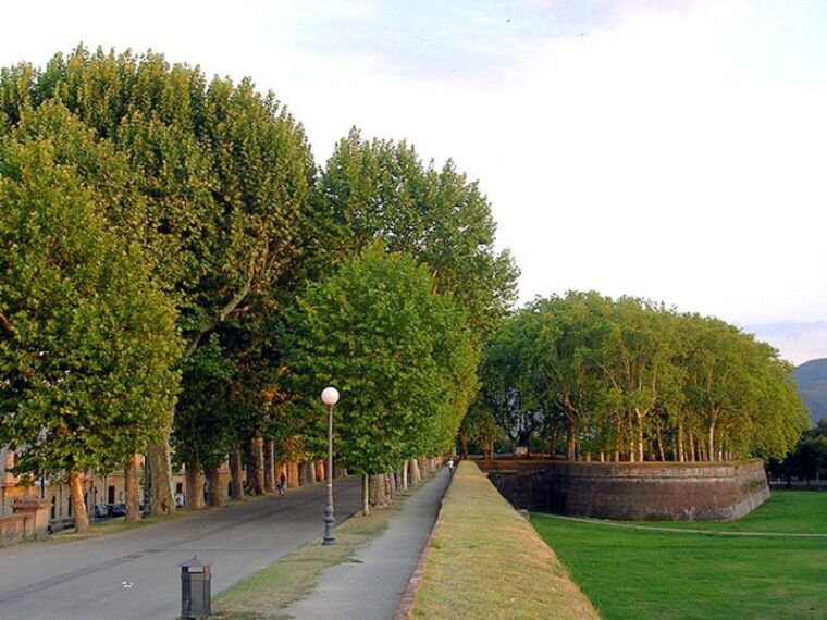 lucca-sightseeing-tour-by-e-bike-or-city-bike