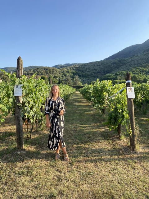 lucca-tour-pisa-tower-wine-tasting-by-van-from-la-spezia