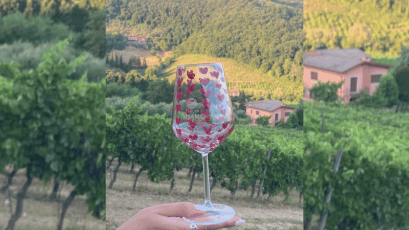 lucca-vineyard-paint-sip-at-tenuta-adamo-winery