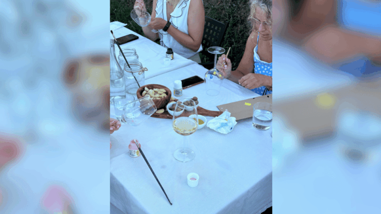 lucca-vineyard-paint-sip-at-tenuta-adamo-winery