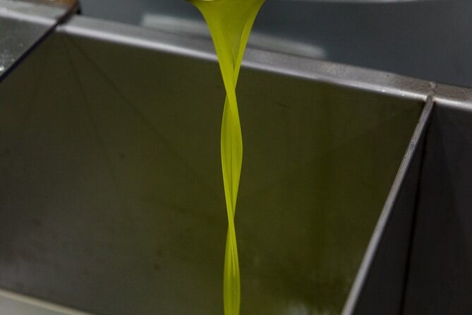 lucca-wine-tasting-at-tenuta-mareli-2