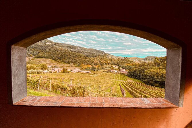 lucca-wine-tasting-experience-tenuta-adamo-winery