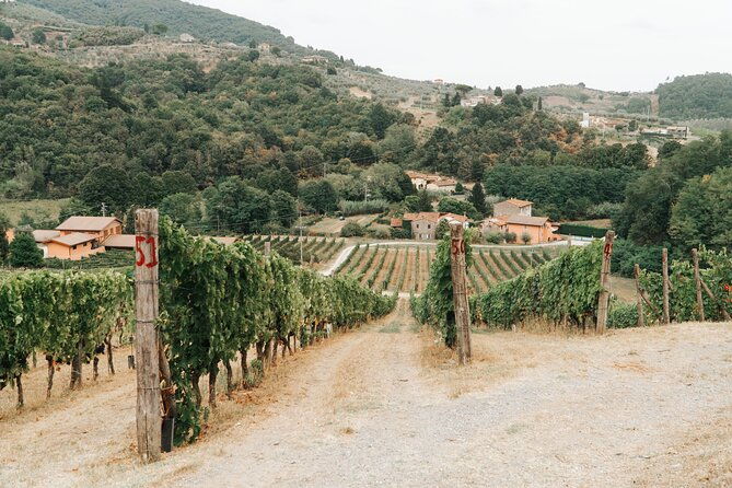 lucca-wine-tasting-experience-tenuta-adamo-winery