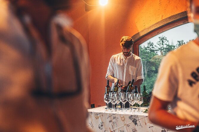 lucca-wine-tasting-experience-tenuta-adamo-winery