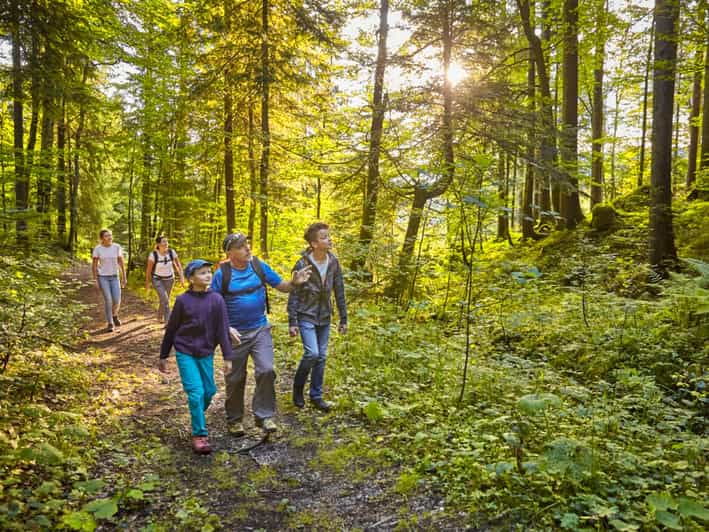Lucerne: Guided hike on the Pilatus with barbecue experience - Why This Tour Works Well