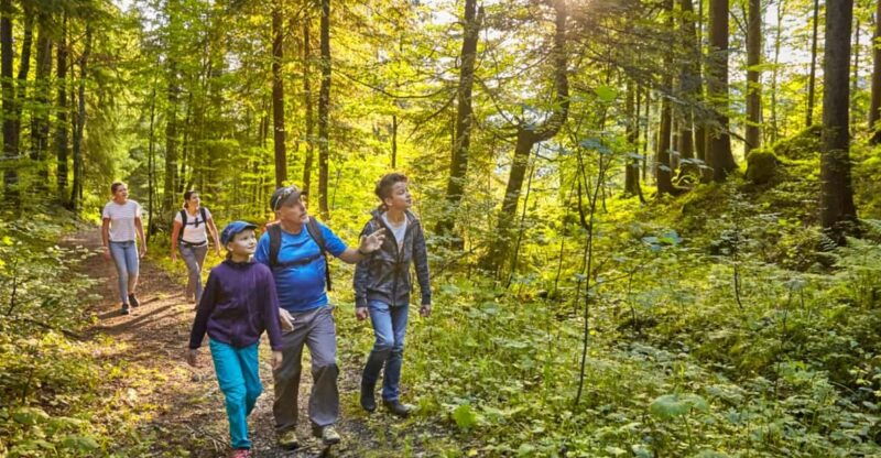 Lucerne: Guided hike on the Pilatus with barbecue experience - Who Would Love This Experience?