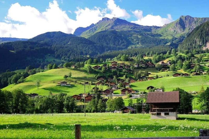 Lucerne: Interlaken and Grindelwald Swiss Alps Day Trip - Who Will Love This Tour?