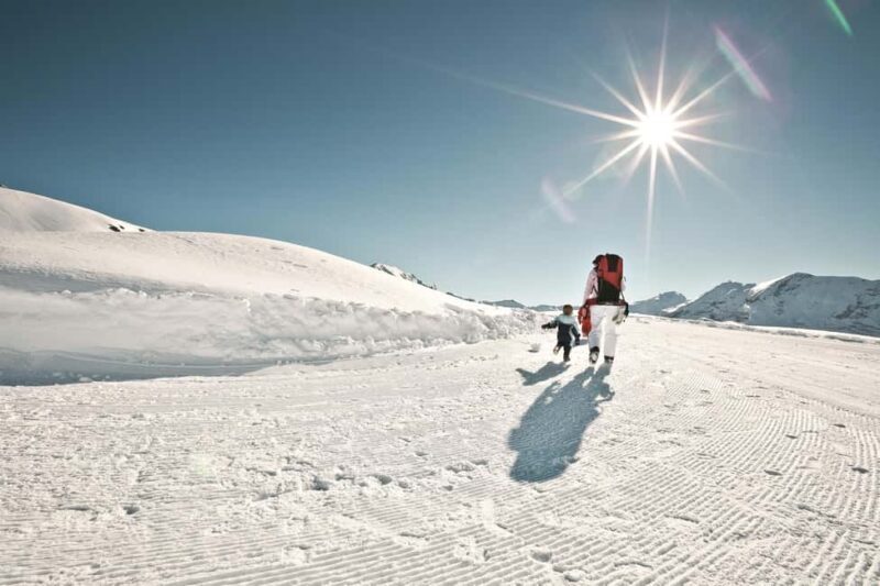 Lucerne: Mount Titlis Snowmobile Adventure - The Sum Up: Who Should Consider This Tour?