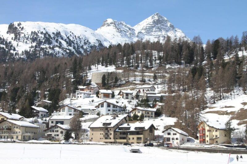 Lucerne: Private day Trip to St. Moritz - Practical Details and Value