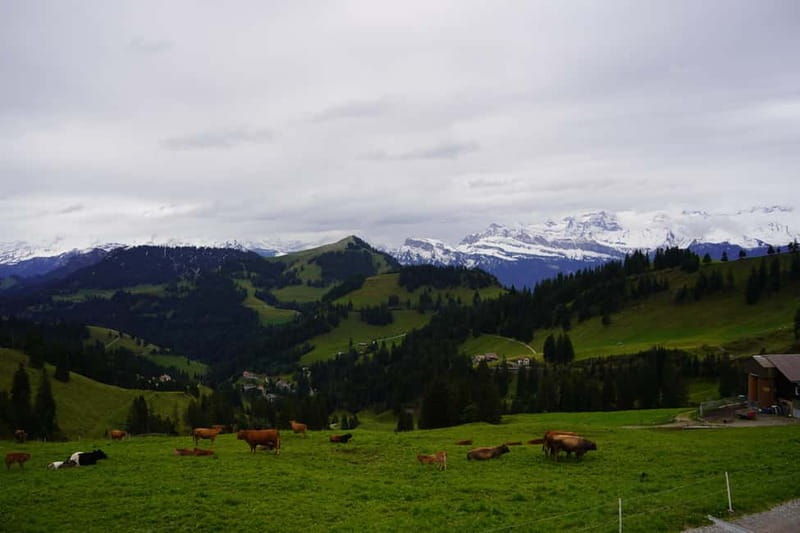 Lucerne: Rigi and Pilatus Private Guided Day Trip - The Guided Aspect: Knowledge and Flexibility