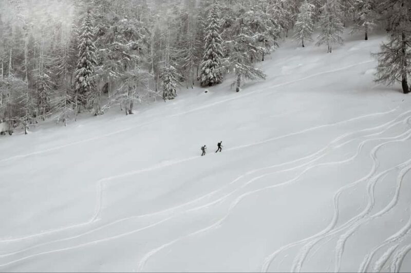 Lucerne: Snowshoe Hiking Adventure to Glaubenberg Langis - The Guides and Reviews: What Others Say