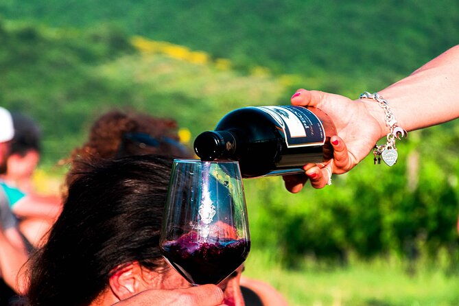 luch-time-tasting-winery-tour