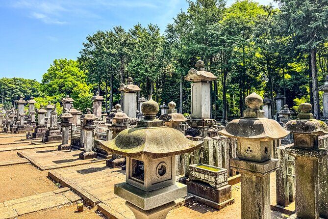 Lucky Cats Temple & Old Tokyo Yanaka 1/2-Day Walking Private Tour - A Deeper Dive into the Experience