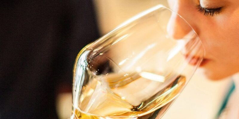 lugana-wine-tour-with-private-panoramic-boat-on-lake-garda