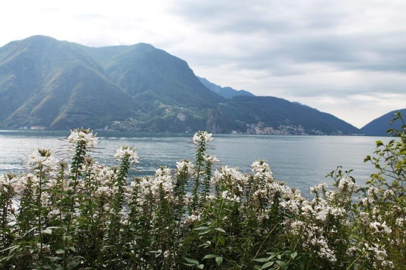 Lugano - Private Walking Tour - What to Expect and Practical Details