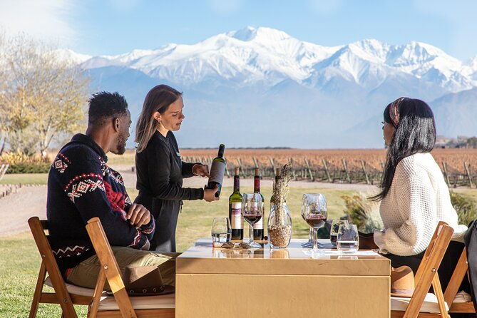 lujan-deluxe-full-day-premium-wine-tour-with-gourmet-lunch
