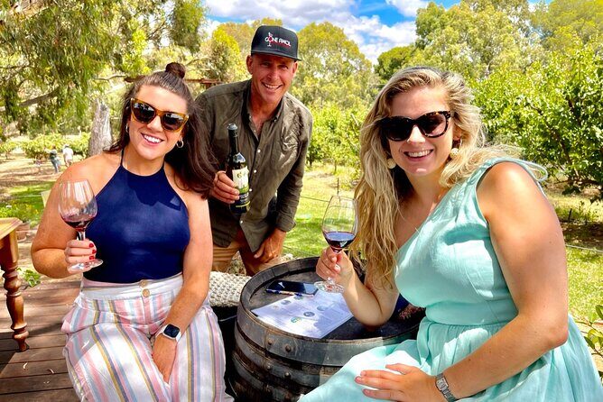 Luke's McLaren Vale Wine Tour - Exploring Luke’s McLaren Vale Wine Tour: An Honest Review
