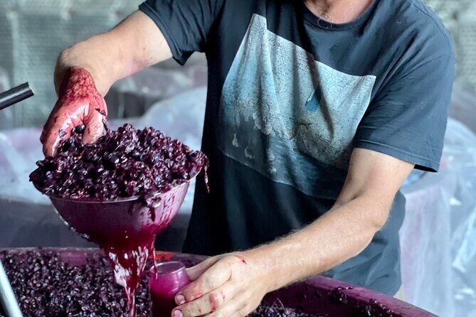 Luke's McLaren Vale Wine Tour - Why This Tour Works