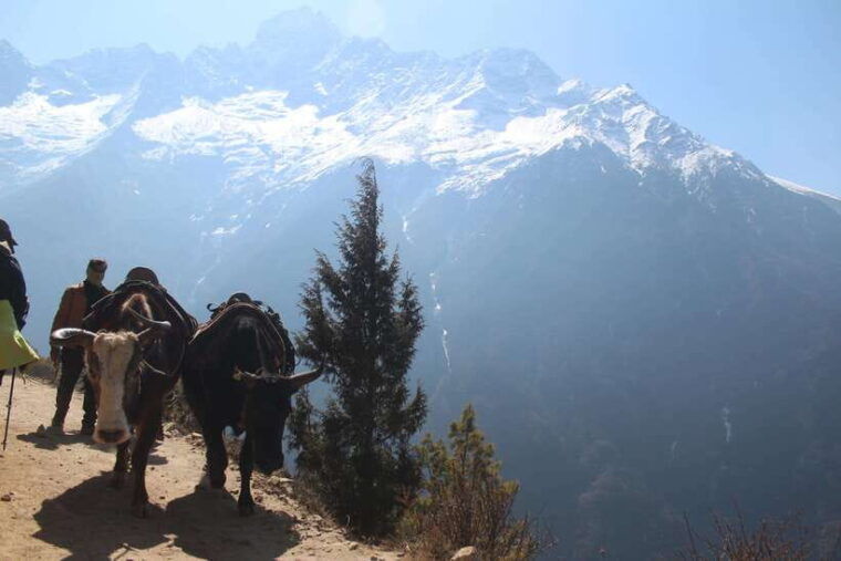 lukla-11-day-everest-base-camp-trek-from-lukla-with-guide