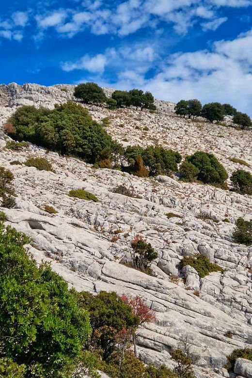 lula-montalbo-hiking