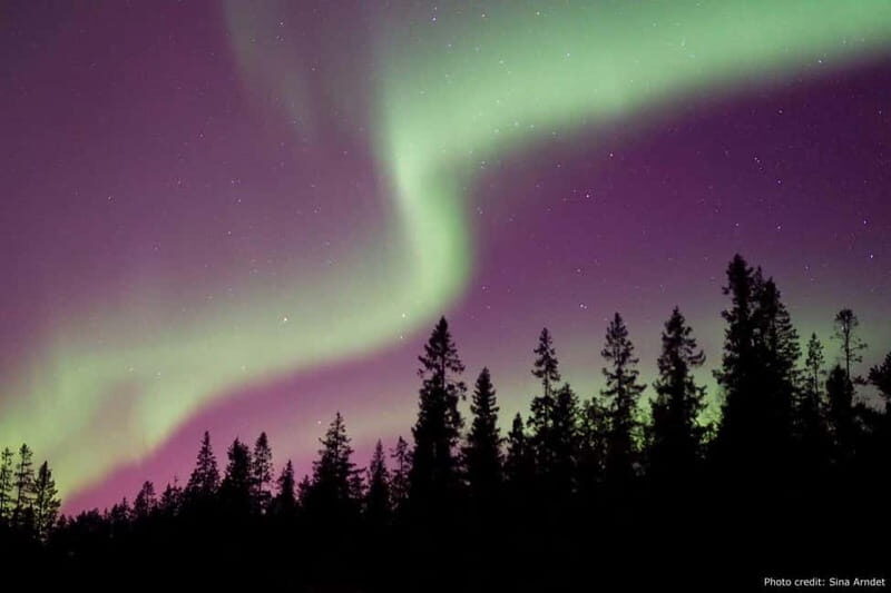 Luleå: Northern Lights Tour by Car with Guide - Key Points
