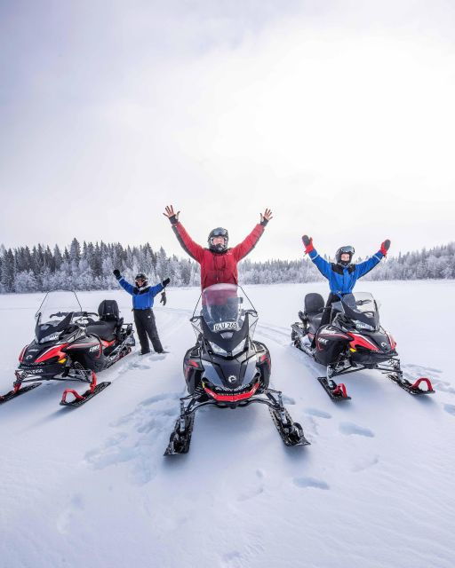 lulea-snowmobile-forest-and-ice-nature-tour-2h