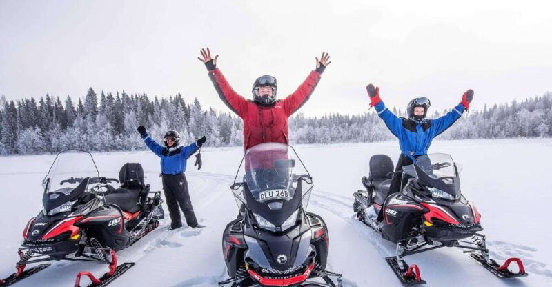 lulea-snowmobile-forest-and-ice-nature-tour-2h