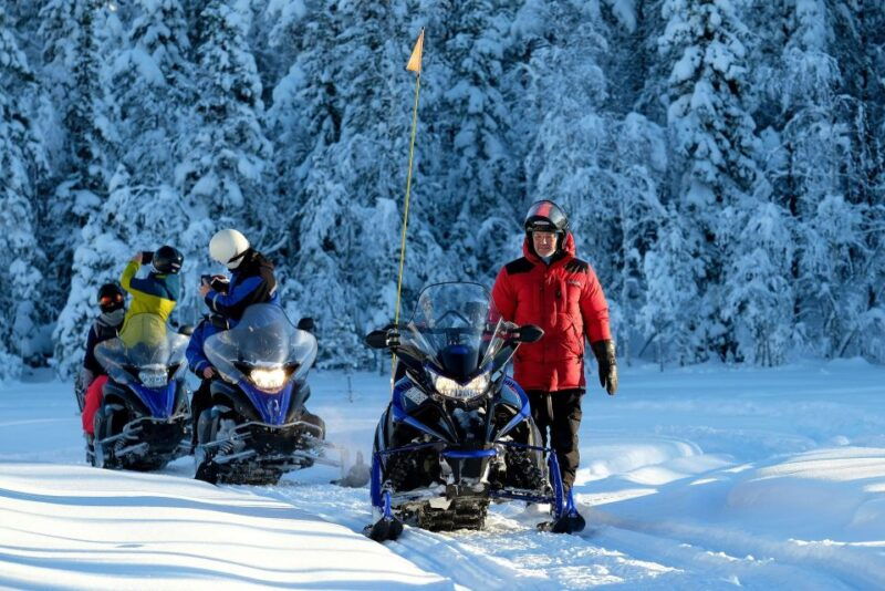 lulea-snowmobile-forest-and-ice-nature-tour-2h