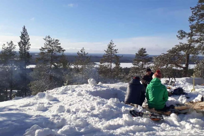 Luleå: snowshoeing in pristine nature with an expert guide! - A Detailed Look at the Snowshoeing Adventure in Luleå  