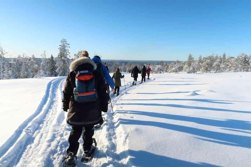 Luleå: snowshoeing in pristine nature with an expert guide! - Why Choose This Snowshoeing Tour?  