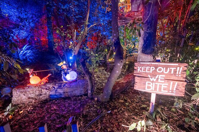 LUMA Enchanted Whimsical Sensory night walk - Why This Tour Is Worth Considering
