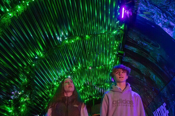 LUMA Enchanted Whimsical Sensory night walk - FAQs