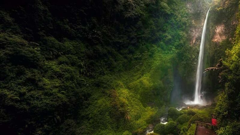 Lumajang or Malang: Kabut Pelangi Waterfall Guided Tour - Setting Out for a Scenic Day in East Java