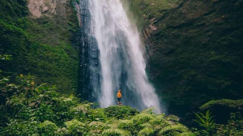 Lumajang or Malang: Kabut Pelangi Waterfall Guided Tour - The Value for Money