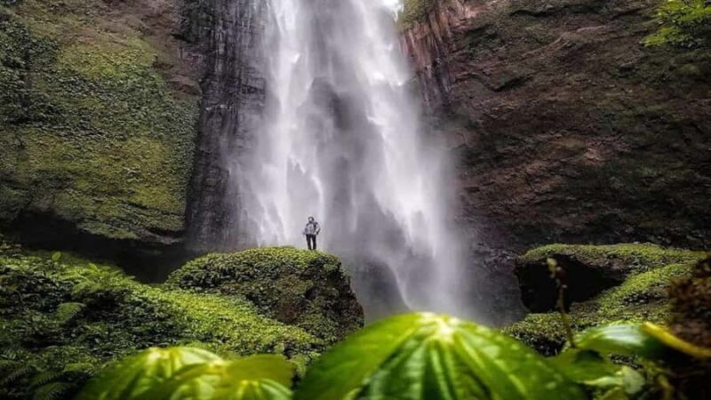 Lumajang or Malang: Kabut Pelangi Waterfall Guided Tour - Who Should Consider This Tour?
