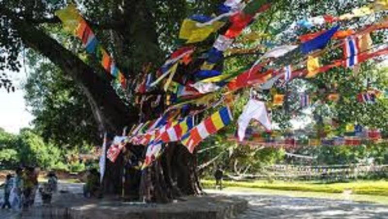 lumbini-full-day-tour-with-guide