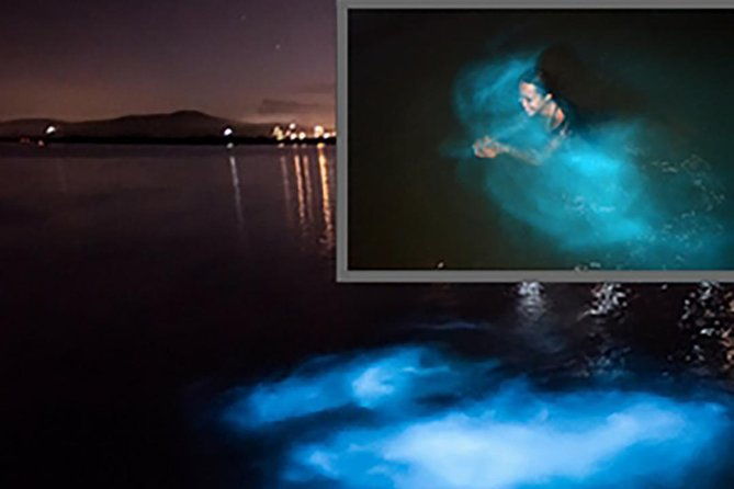 luminous-lagoon-and-glistening-water-tour-from-montego-bay