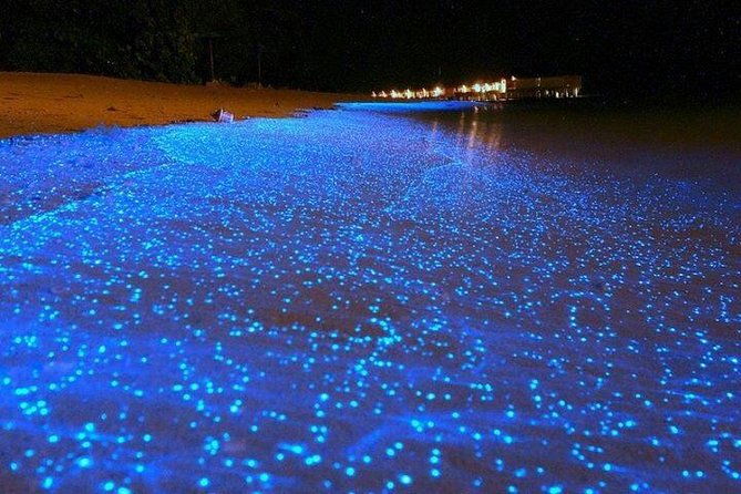 luminous-lagoon-night-time-tour-from-montego-bay