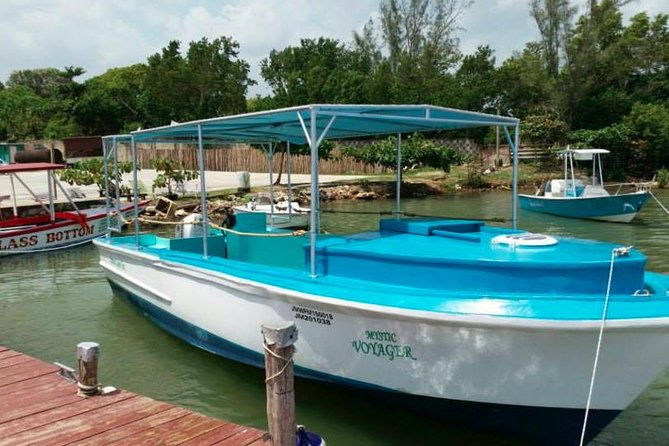 luminous-lagoon-night-time-tour-from-montego-bay