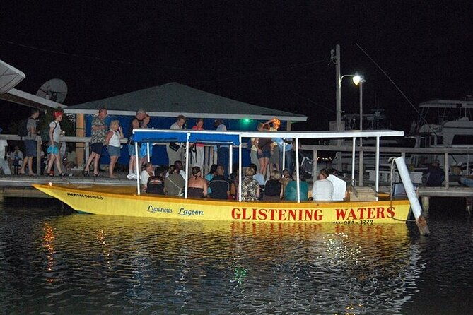 luminous-lagoon-night-tour-from-montego-bay-3