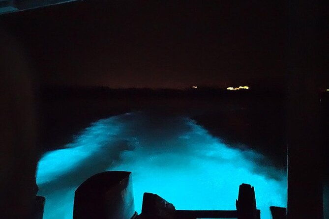 luminous-lagoon-night-tour-montego-bay