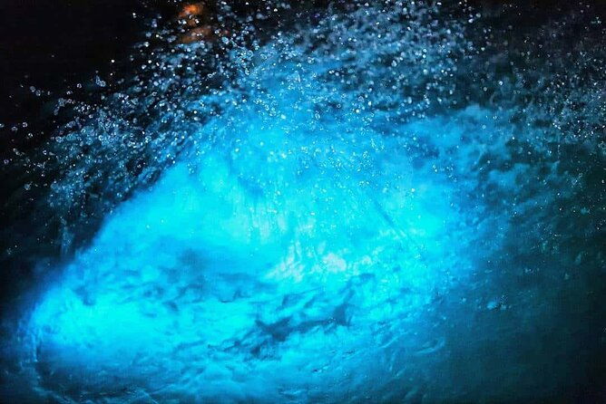 luminous-lagoon-night-tour-montego-bay